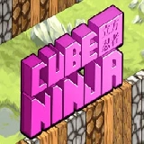 Cube Ninja