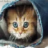 Cute Cat Jigsaw Puzzle