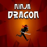 Ninja Dragon